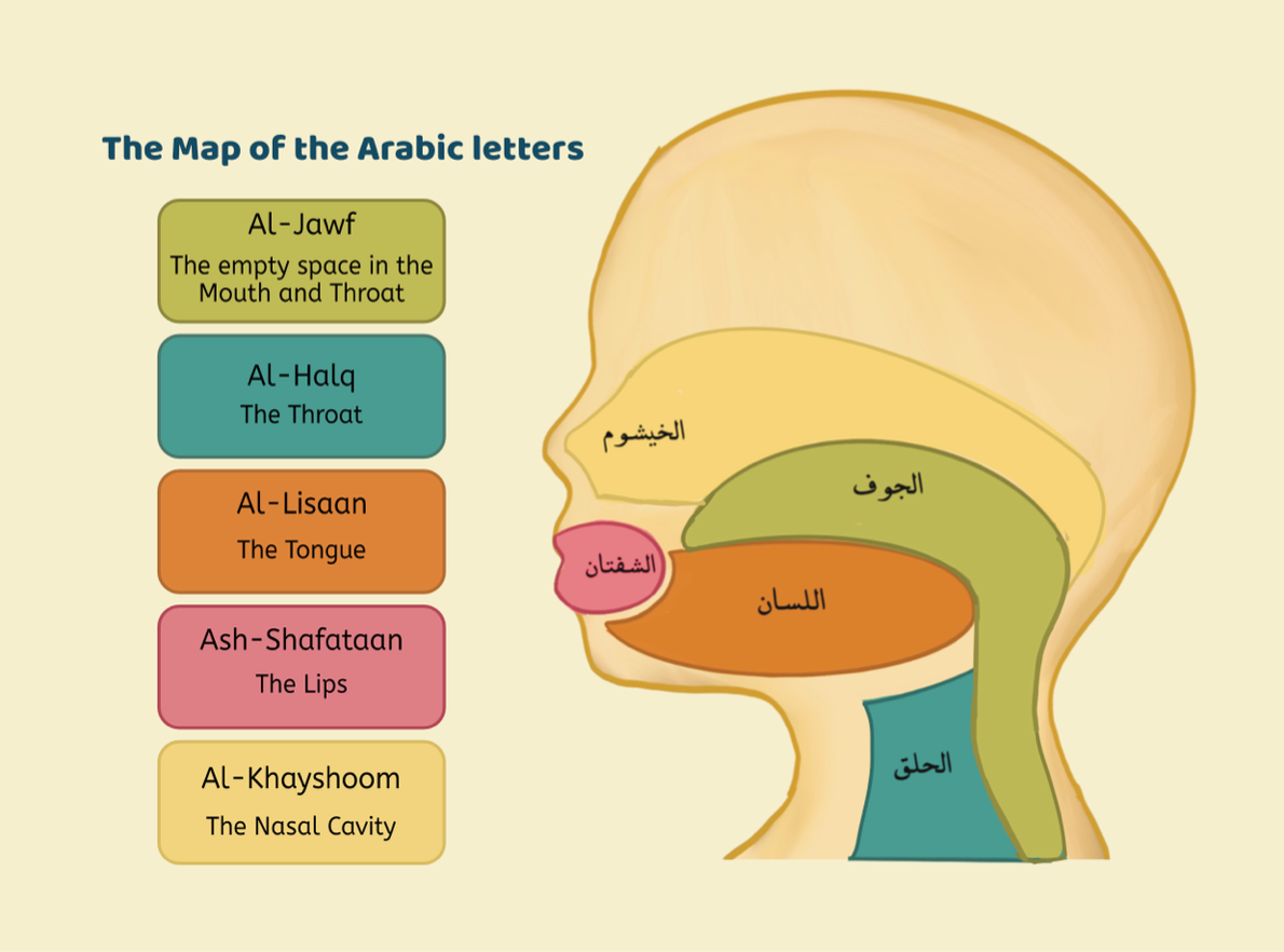 The Map of the Arabic Letters